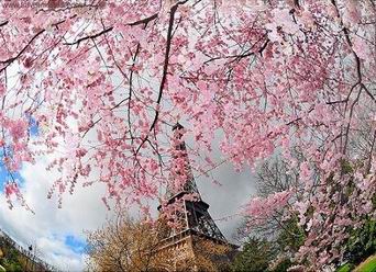 Туры в Париж на майские праздники 2014!!!